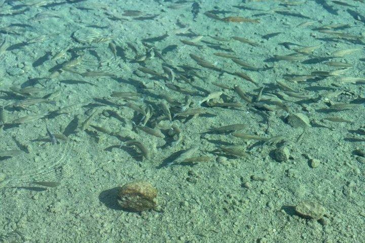 サマルカンドからタジキスタンの七つの湖を発見