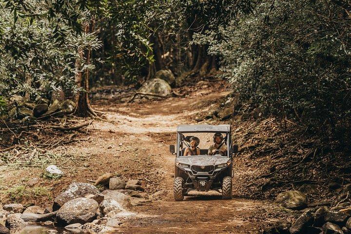 Mauritius: 2 Hours Buggy Ride - Bel Ombre Nature Reserve