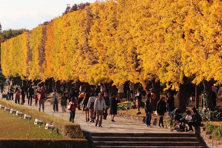 東京プライベートカスタマイズウォーキングツアー（現地ガイド付き）