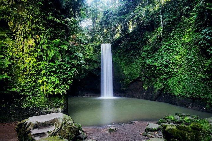 Miglior Ubud Highlight Cascata All Inclusive