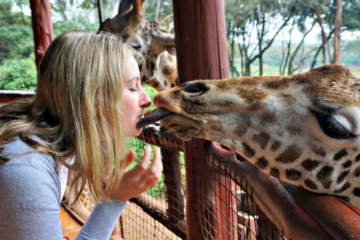 Safari Tour in Nairobi Wildlife