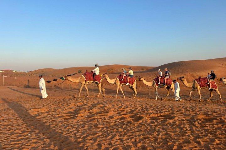 Safari privado premium en el desierto