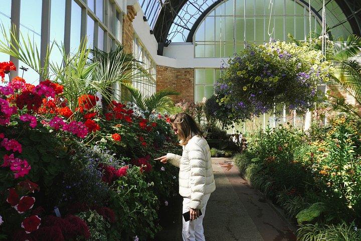 Auckland Essentials Half Day Tour - Devonport & Mt Eden and more