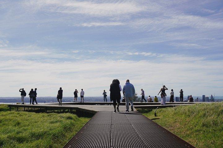 Auckland Essentials Half Day Tour - Devonport & Mt Eden and more