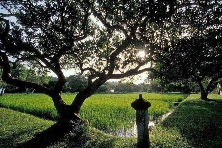 De Bentota/Beruwala : Visite de Lunuganga et de jardins en formule tout compris
