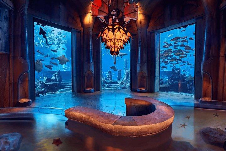 アクアベンチャーワールドドバイのロストワールド水族館