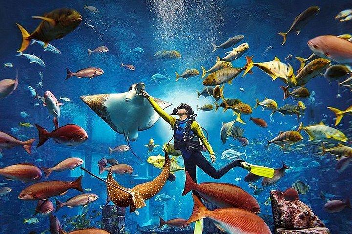 Lost World Aquarium at Aquaventure World Dubai