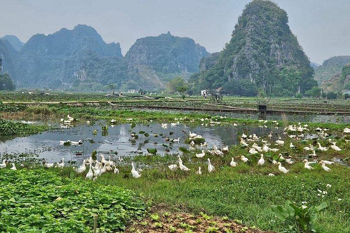 Private Ninh Binh Luxury Day Trip With Custom Itinerary