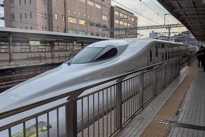 NEW東京：富士山＆箱根6スポットツアー（新幹線往復）