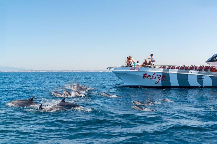 Portimao: Delfiner och grottor - Katamaran
