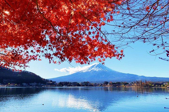 富士山・河口湖1日貸切バスツアー