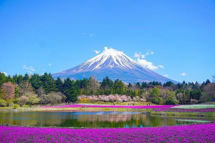 富士山・河口湖1日貸切バスツアー