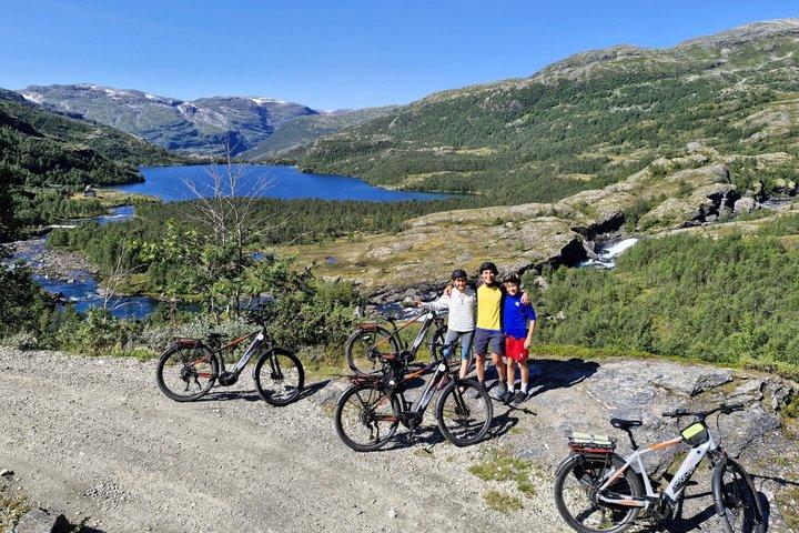 Explore Norway's Mountains (2 Days) by Electric Bicycle + Train