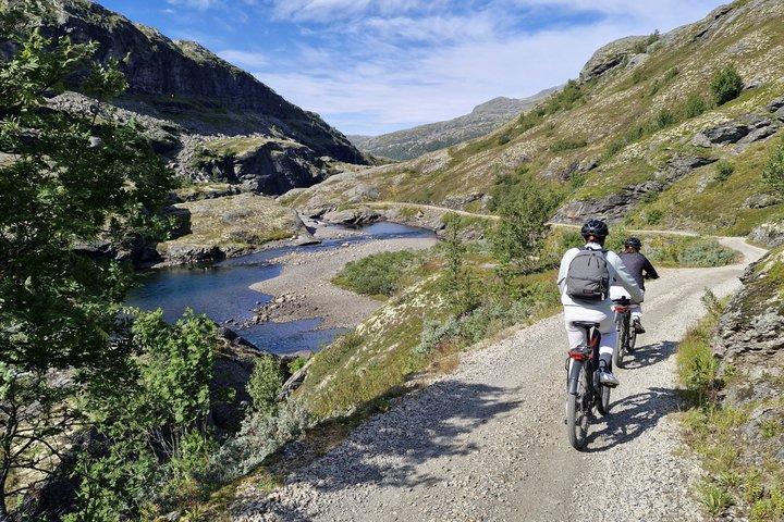 Esplora le montagne della Norvegia (2 giorni) in bicicletta elettrica + treno