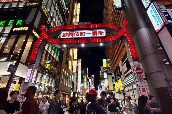 東京ナイトツアー&屋形船クルーズ,すき焼き,三味線&東京タワー