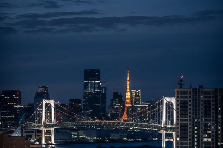 東京ナイトツアー&屋形船クルーズ,すき焼き,三味線&東京タワー