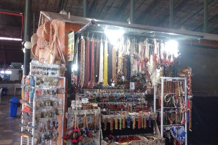 Privat byrundtur i Manaus' historiske centrum.