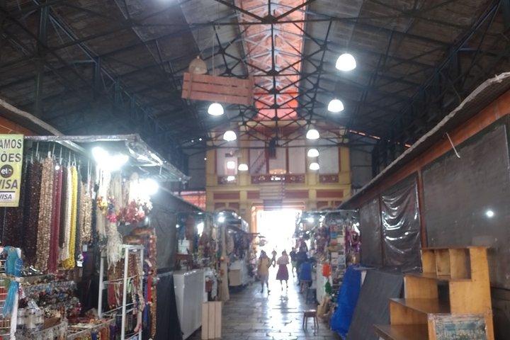 Privat byrundtur i Manaus' historiske centrum.