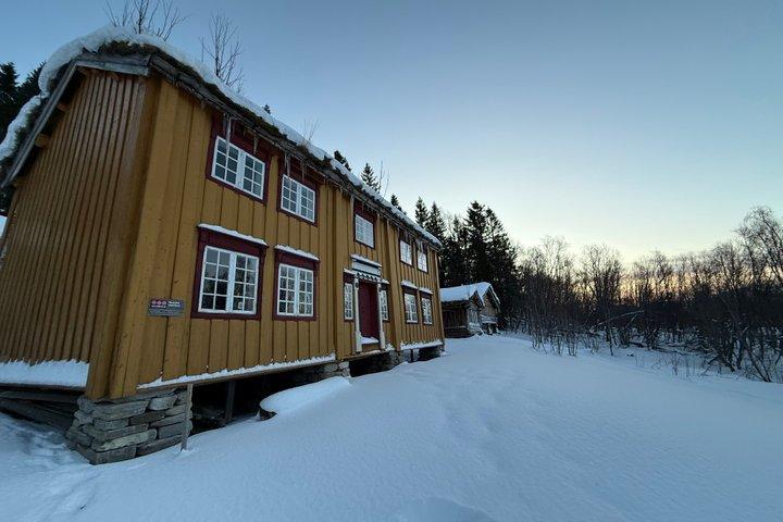 Tromsø Schneeschuh Küsten- und Waldwanderung