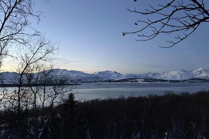 Tromsø Schneeschuh Küsten- und Waldwanderung