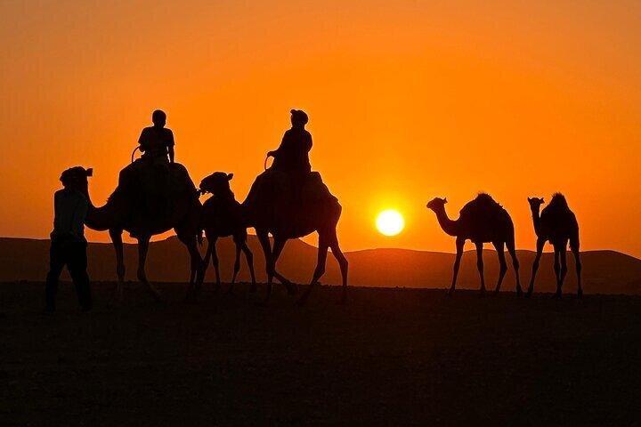 Marrakech Agafay Desert Sunset Dinner, Campfire Experience Pickup