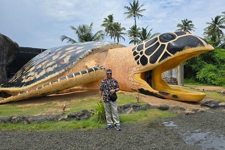 Private Heritage Day Tour from Colombo to Galle by Car Van or Bus