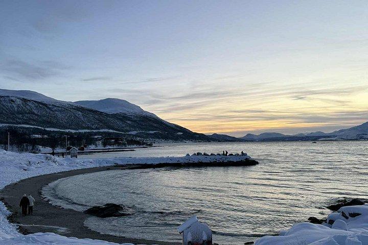 Tromsø Snowshoe Coastal and Forest Walk