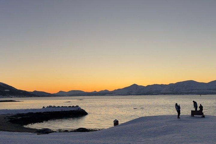 Tromsø Schneeschuh Küsten- und Waldwanderung