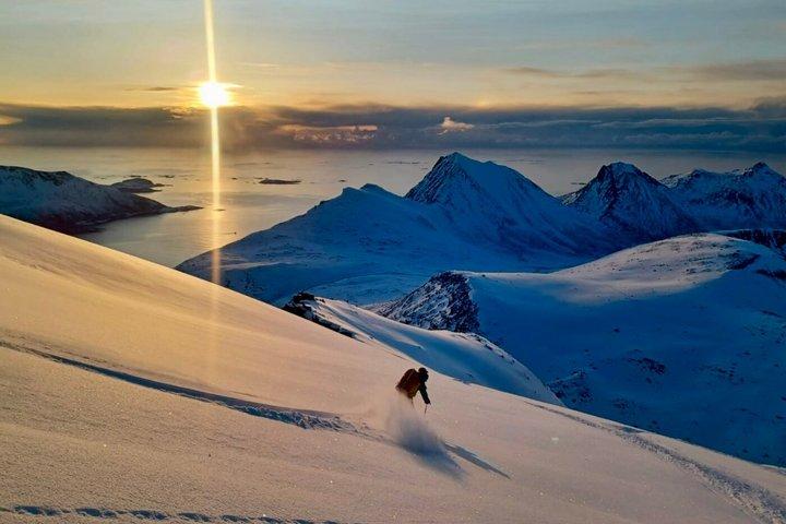 Tromsø Snowshoe Coastal and Forest Walk