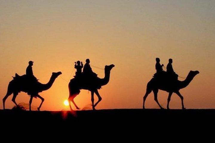 Desert Agafay Marrakech : giro in quad e cammello, tramonto, cena e spettacolo