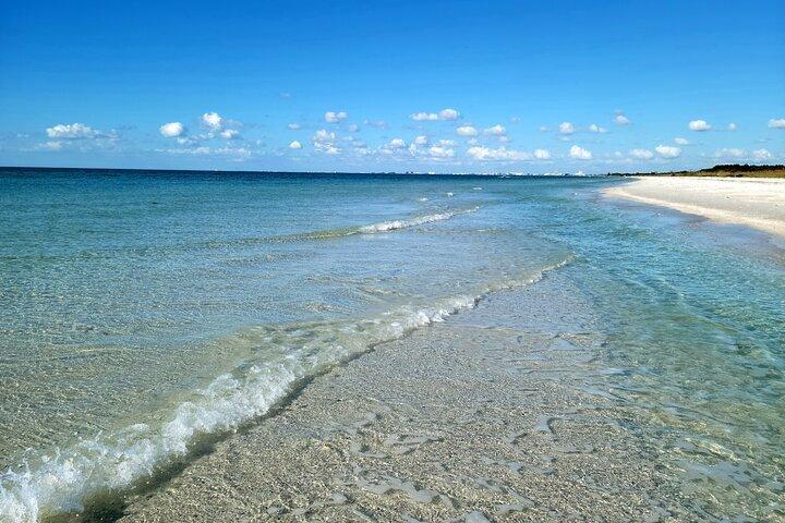 3 uur dolfijnen snorkelen en Shell Key Adventure St. Pete Beach