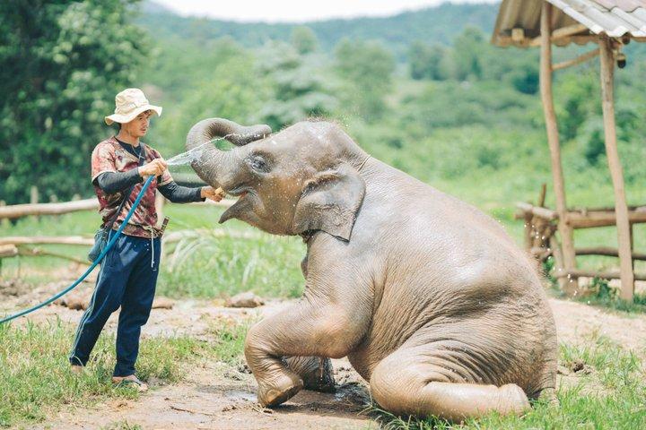 Hoteller i nærheden af Elephant Sanctuary Chiang Mai, River Rafting, Zipline & Waterfall