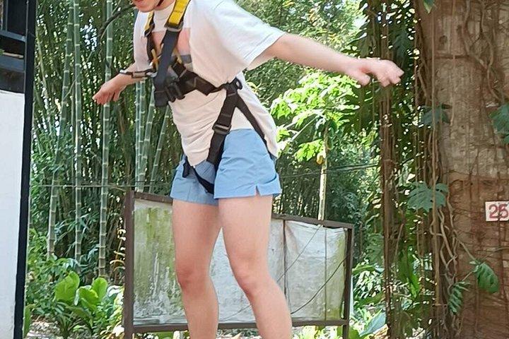 象のサンクチュアリチェンマイ、川下り、ジップライン＆滝