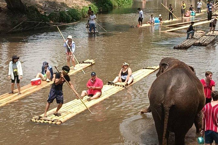 象のサンクチュアリチェンマイ、川下り、ジップライン＆滝