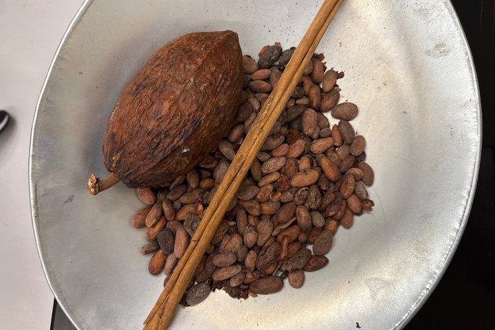 オアハカ料理10品+本格メキシコ風味の料理ツアー