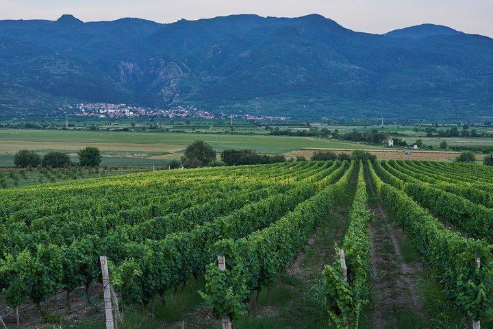 From Sofia Krichim Palace and Wine Tasting Day Trip