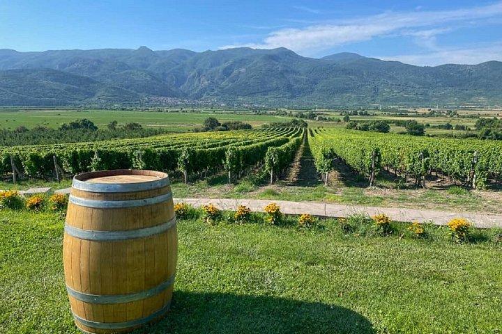 From Sofia Krichim Palace and Wine Tasting Day Trip