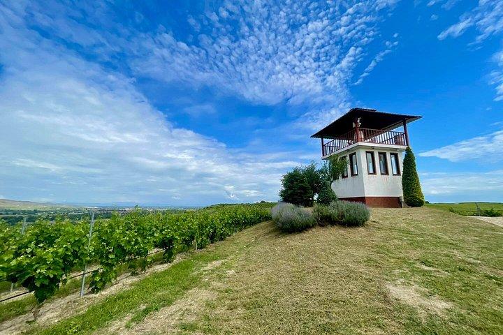 From Sofia Krichim Palace and Wine Tasting Day Trip