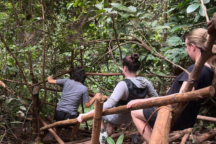 Paradise Waterfall Day Tour