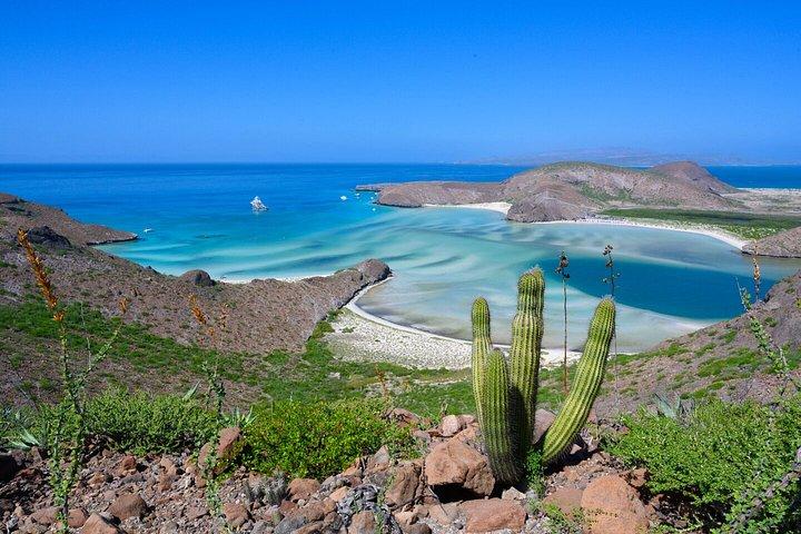 Balandra Dream Day Iconic Beach and La Paz