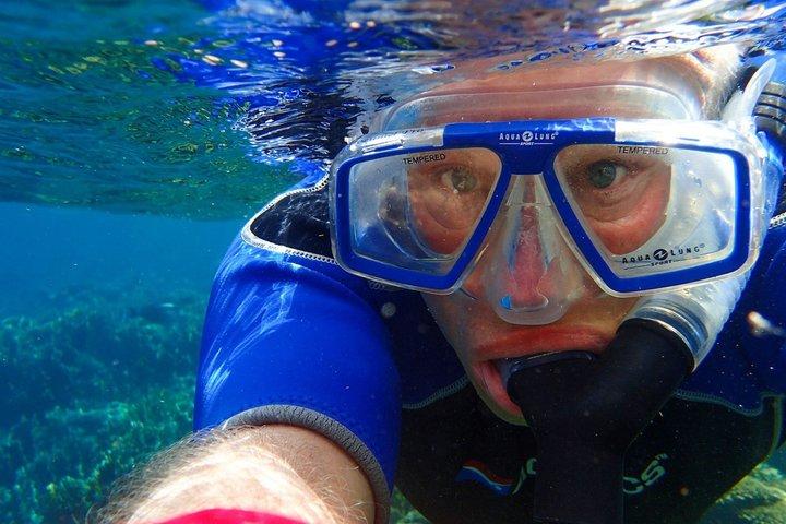 マイアミ・シュノーケリング・アドベンチャーサウスビーチから秘境の島へ
