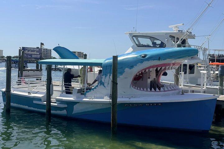 Cruzeiro Shark Boat Destin Dolphin Watch e Sunset