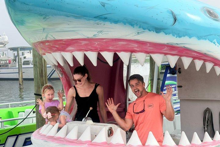 Shark Boat Delphin Watch und Sunset Cruise