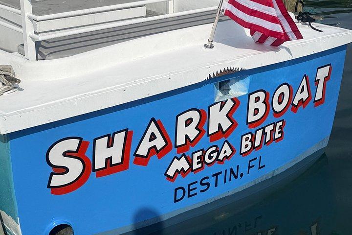シャークボートデスティネーションドルフィンウォッチとサンセットクルーズ