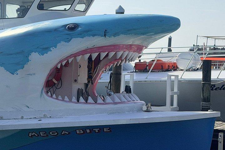 シャークボートデスティネーションドルフィンウォッチとサンセットクルーズ