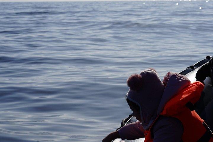 Observing Dolphins in Faro