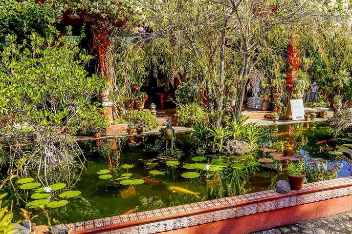 Giardino Botanico : Gita privata di un giorno da Puerto Vallarta