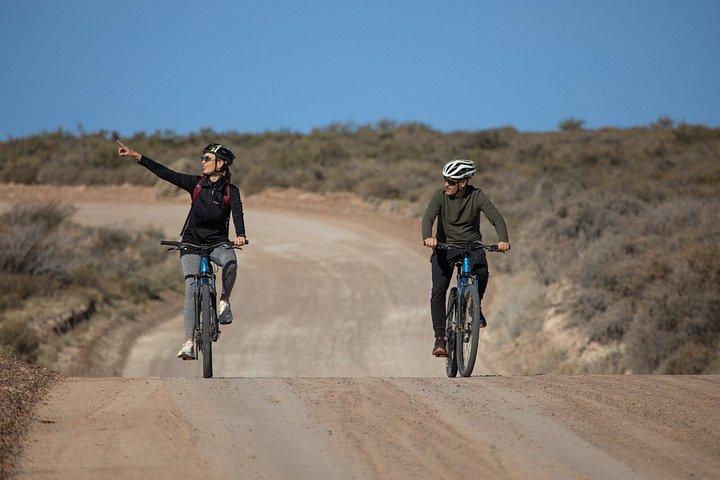 プンタ・ロマ自然保護区の自転車ツアー