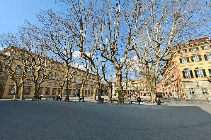 Toscana 2 - Giorni 5 - Tour in autobus turistico flessibile delle città