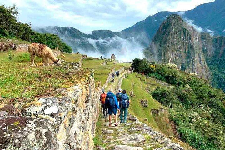 1 dag Inca Trail Tour til Machu Picchu